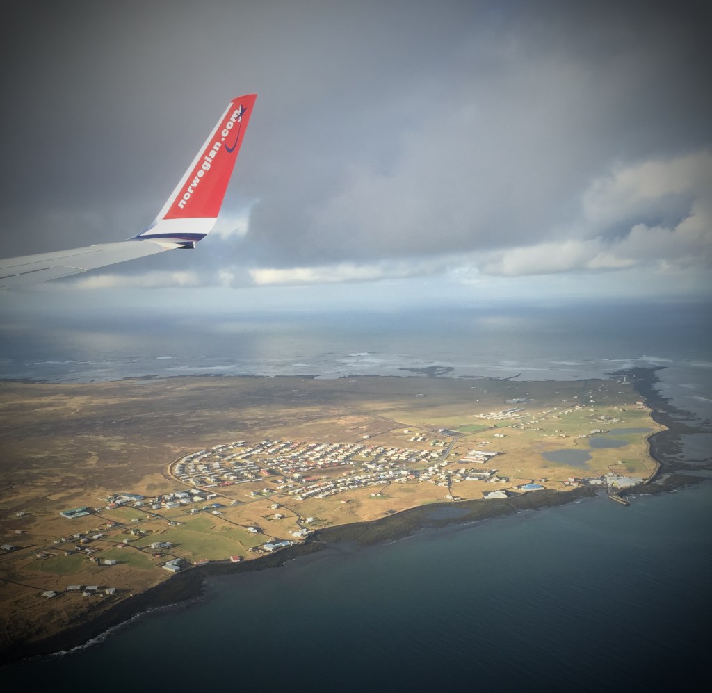 Gratitude In Flights Of&nbsp;Solace