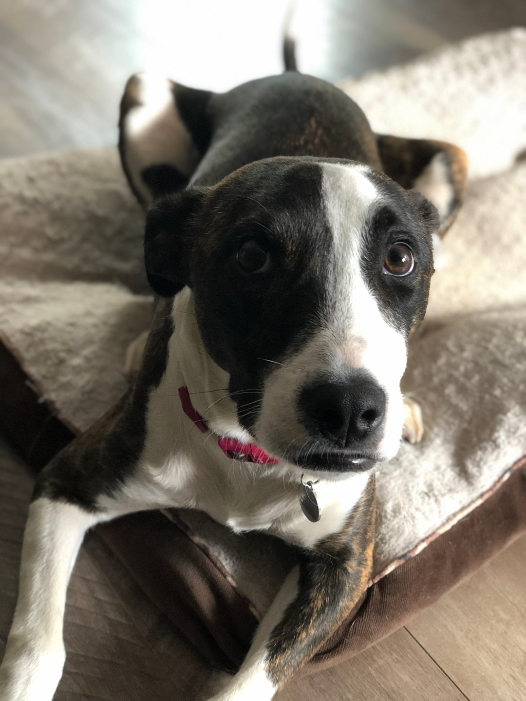 The Universe Is Growing In Her&nbsp;Eyes