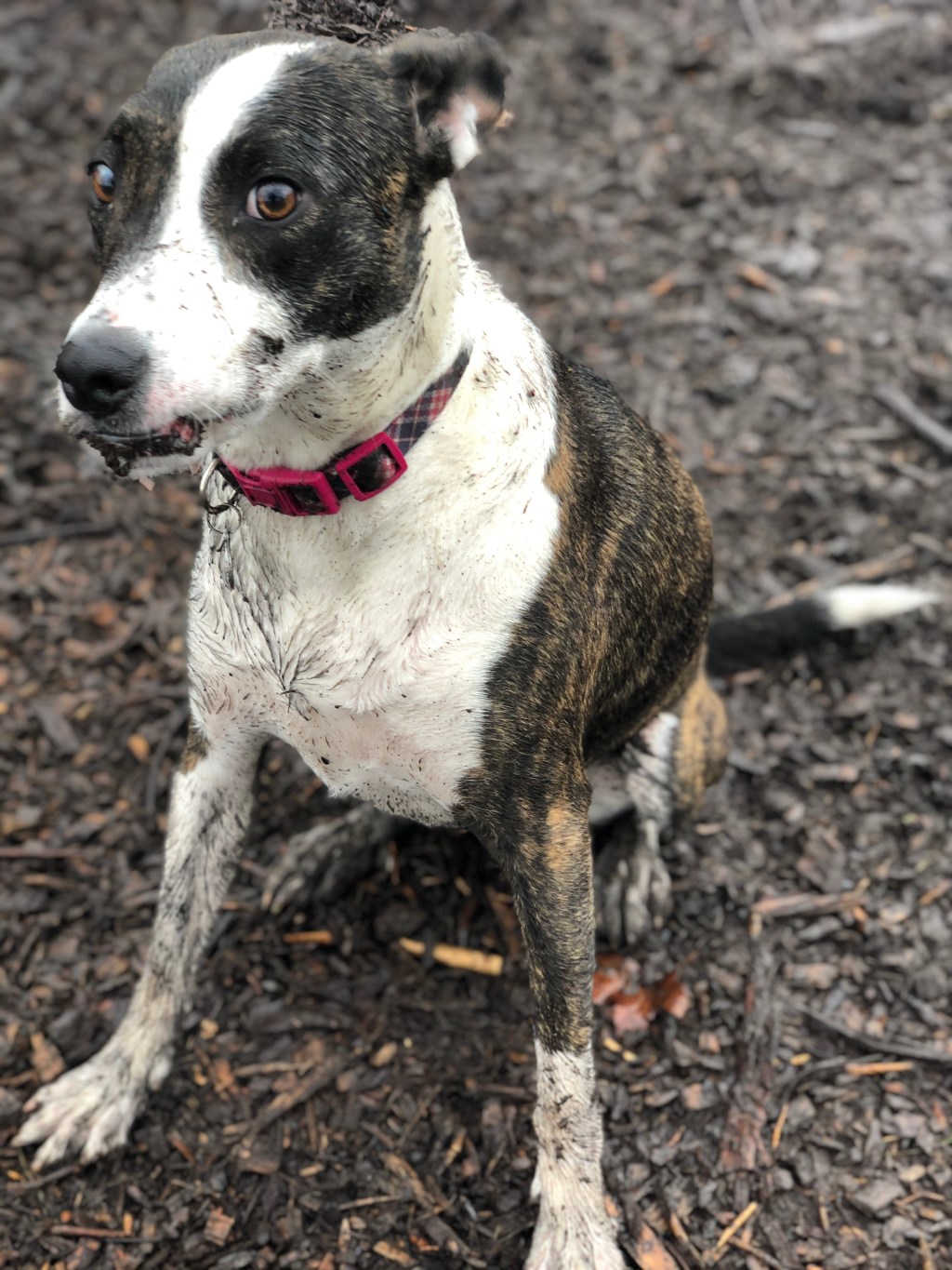 My *Bleep* Gets Down &&nbsp;Dirty!