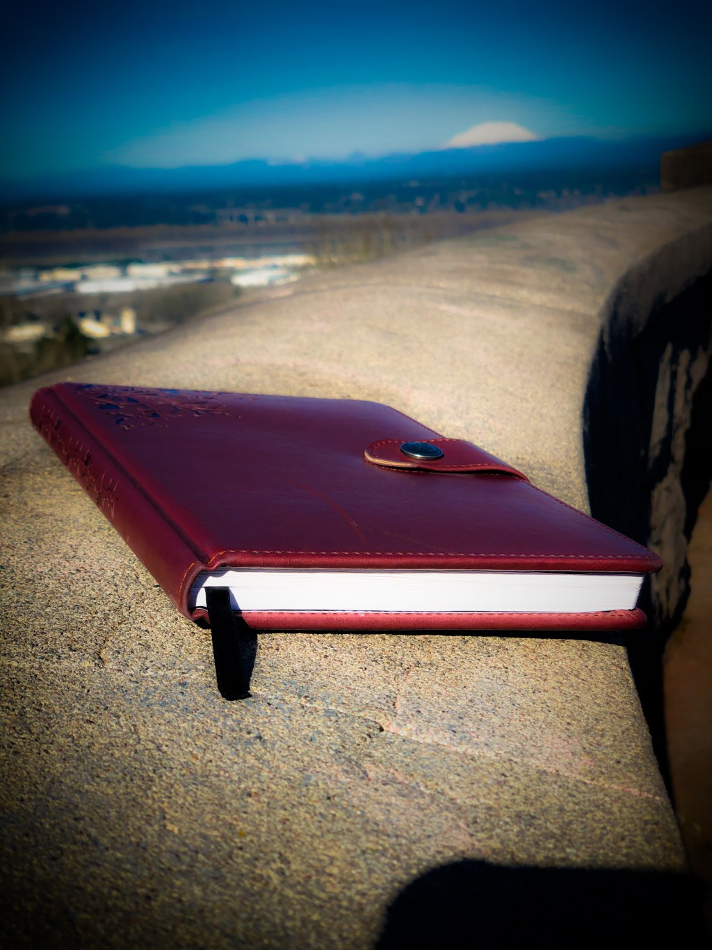 I Just Had To Write&nbsp;You…