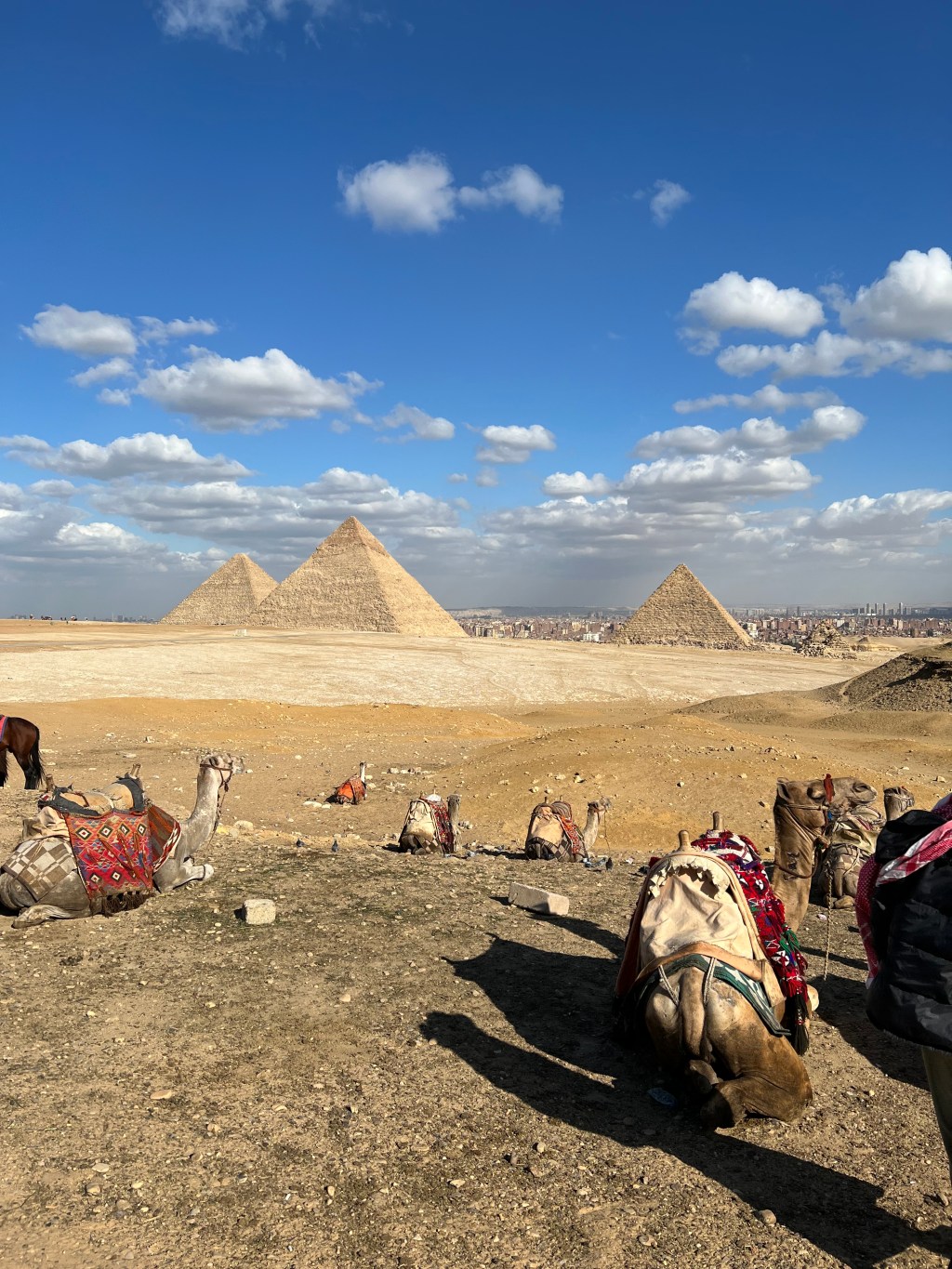 They Built The&nbsp;Sh!t