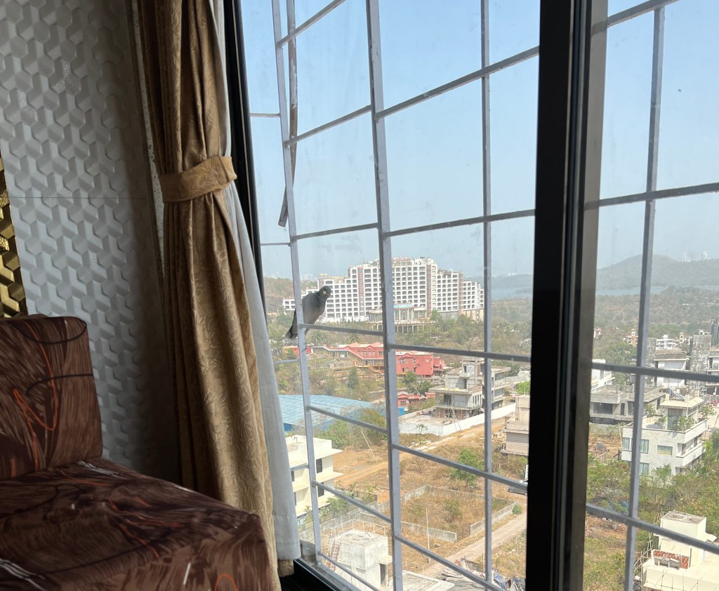 And The Bird&nbsp;Says…