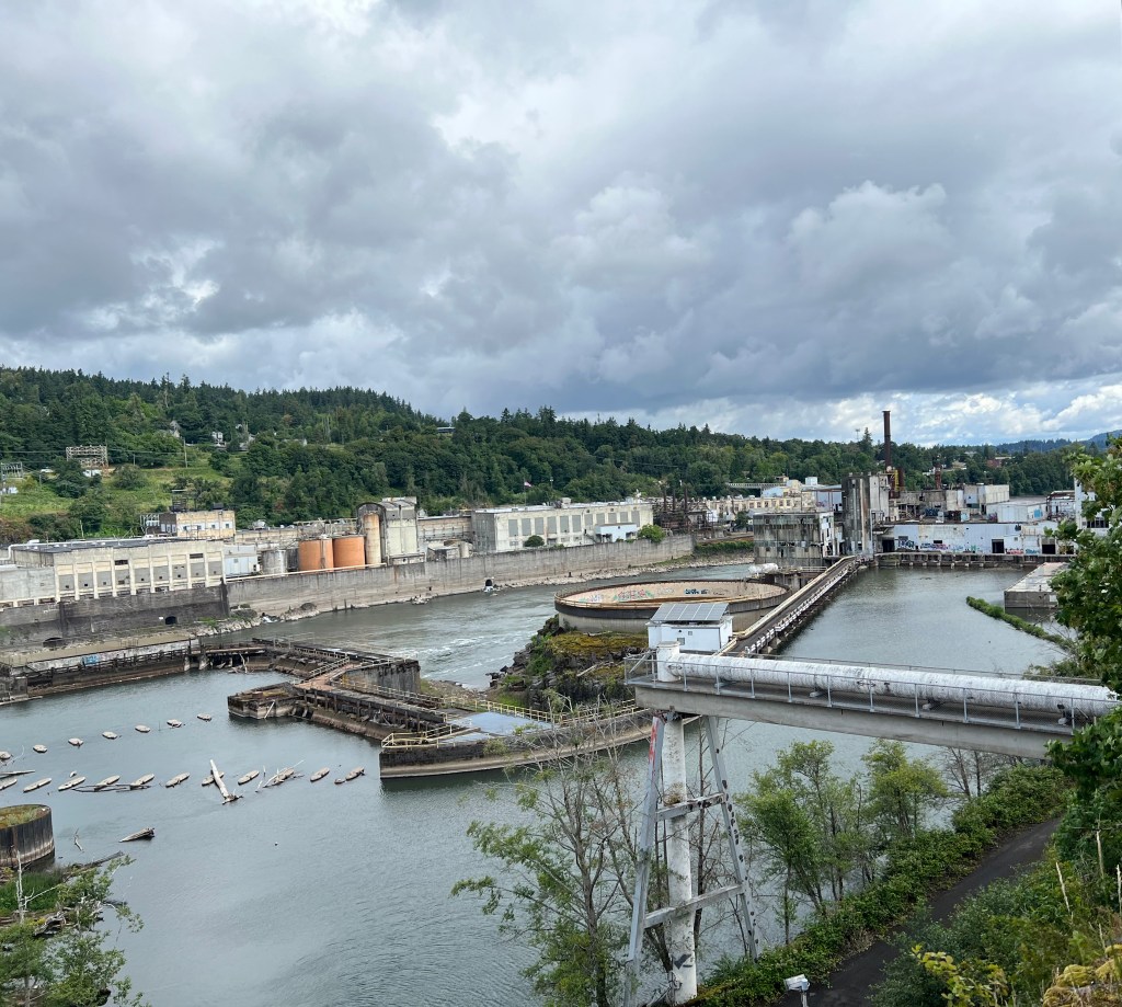 Dad Is Painting&nbsp;Again